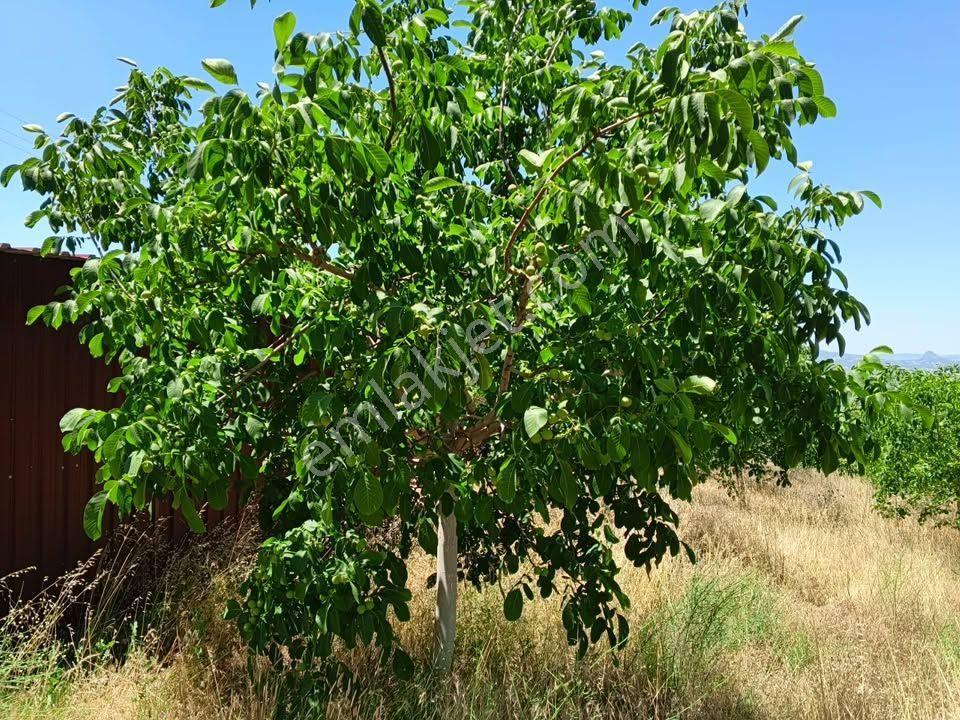 Tc Emlaktan Satılık ​ Toplam 220 Dönüm Araziii — fotoğraf 22