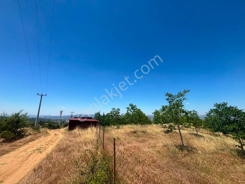 Tc Emlaktan Satılık ​ Toplam 220 Dönüm Araziii — fotoğraf 24