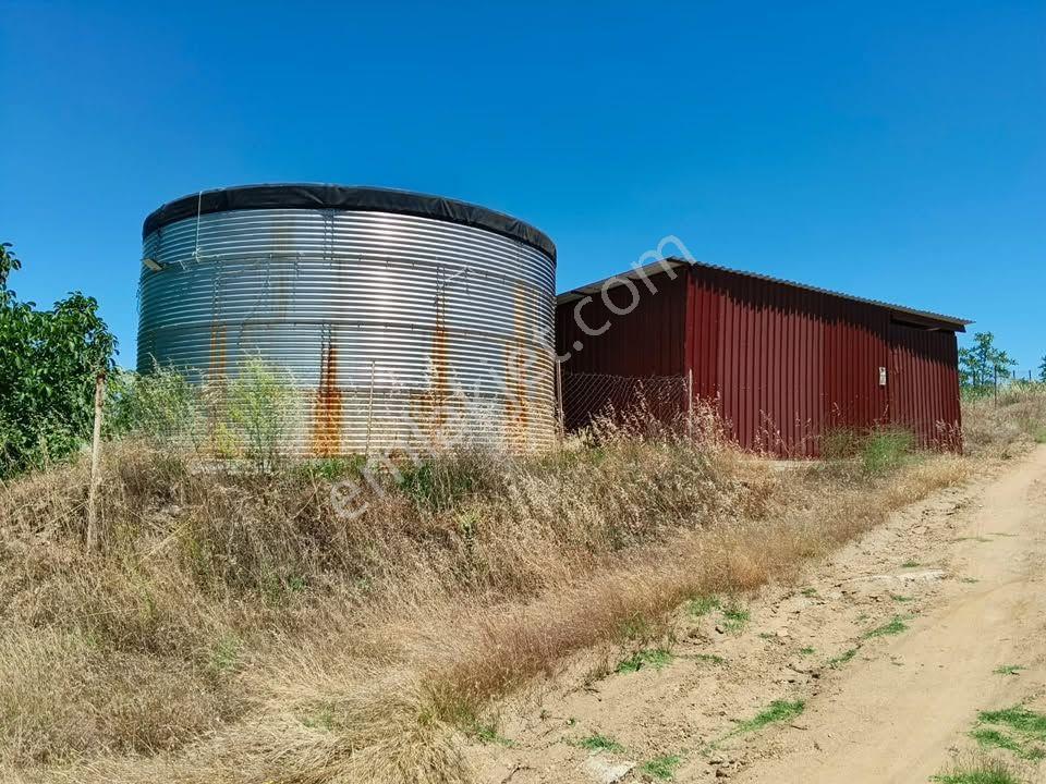 Tc Emlaktan Satılık ​ Toplam 220 Dönüm Araziii — fotoğraf 26