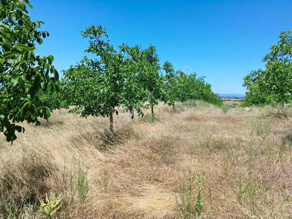 Tc Emlaktan Satılık ​ Toplam 220 Dönüm Araziii — fotoğraf 27