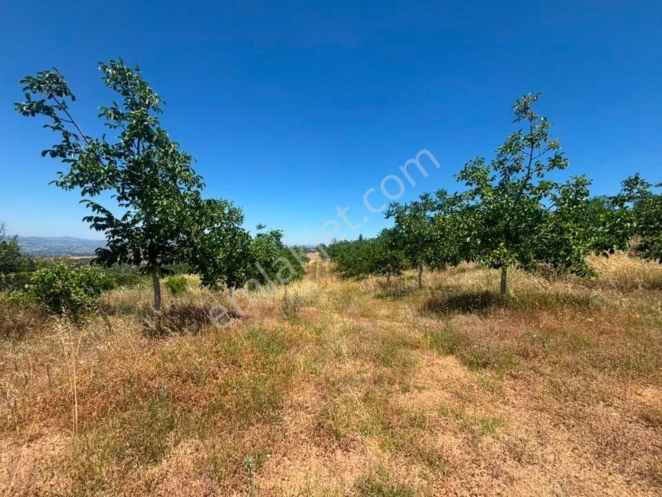 Tc Emlaktan Satılık ​ Toplam 220 Dönüm Araziii — fotoğraf 30