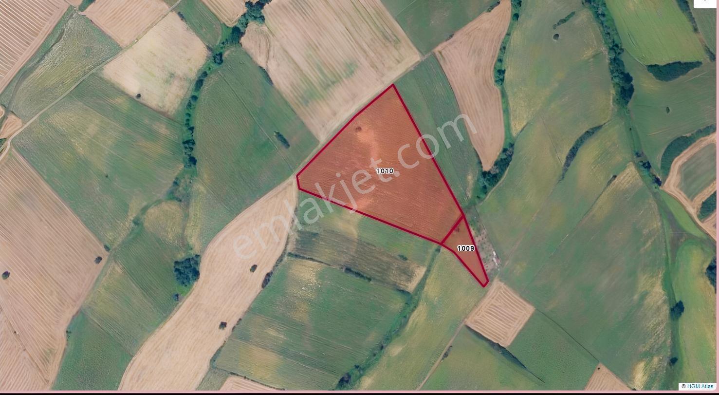 Muratlı Balabanlı'Da 31.700 M2 Kadastro Yolu Olan Satılık Tarla