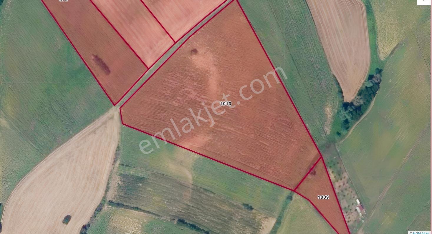 Muratlı Balabanlı'da 31.700 M2 Kadastro Yolu Olan Satılık Tarla — fotoğraf 3