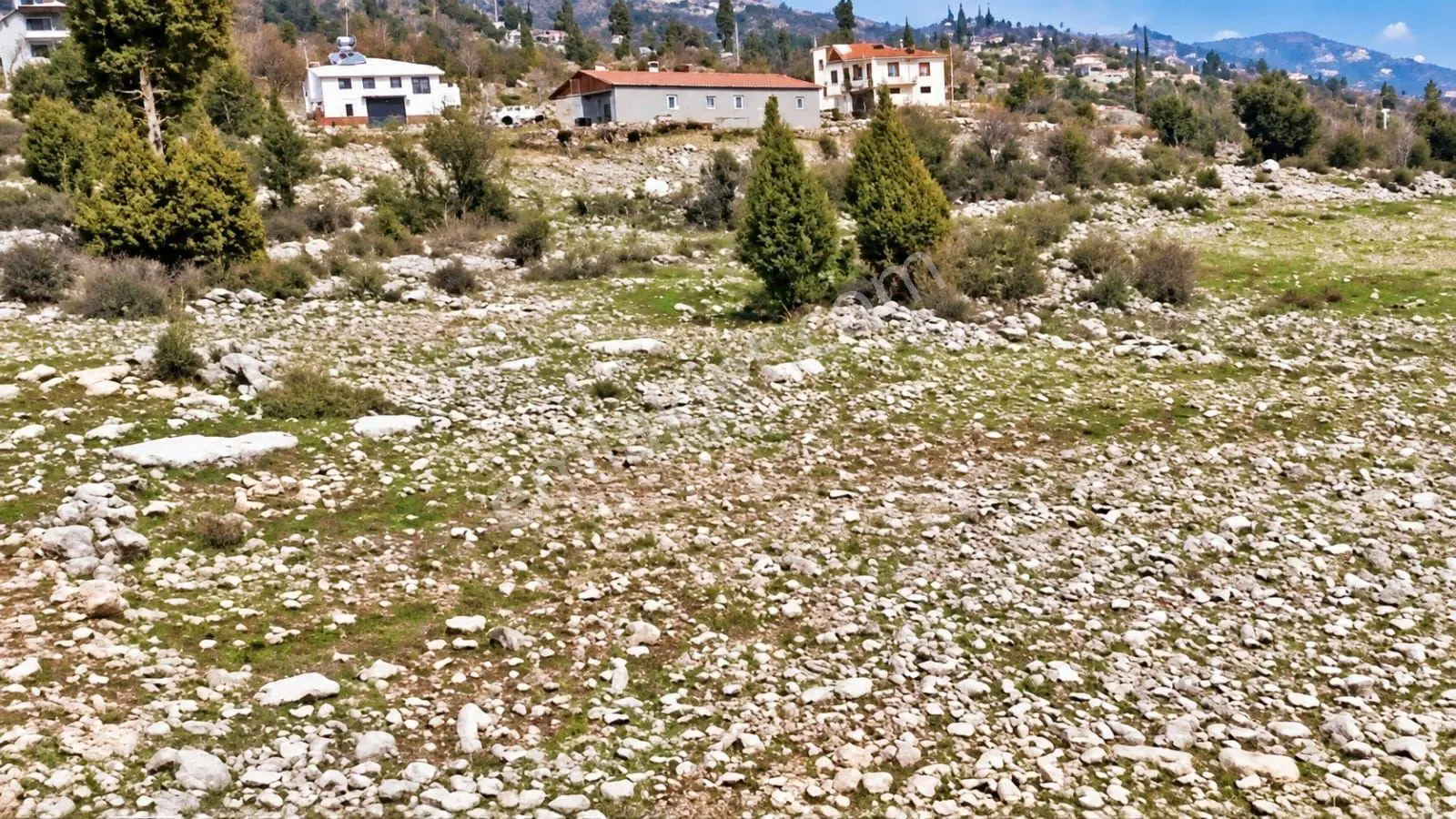 Aydın'Dan Tarsus Keşli Köyun De Acil Satılık Tarla 2.621 M²
