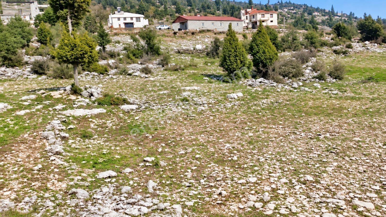 Aydın'dan Tarsus Keşli Köyun De Acil Satılık Tarla 2.621 M² — fotoğraf 2