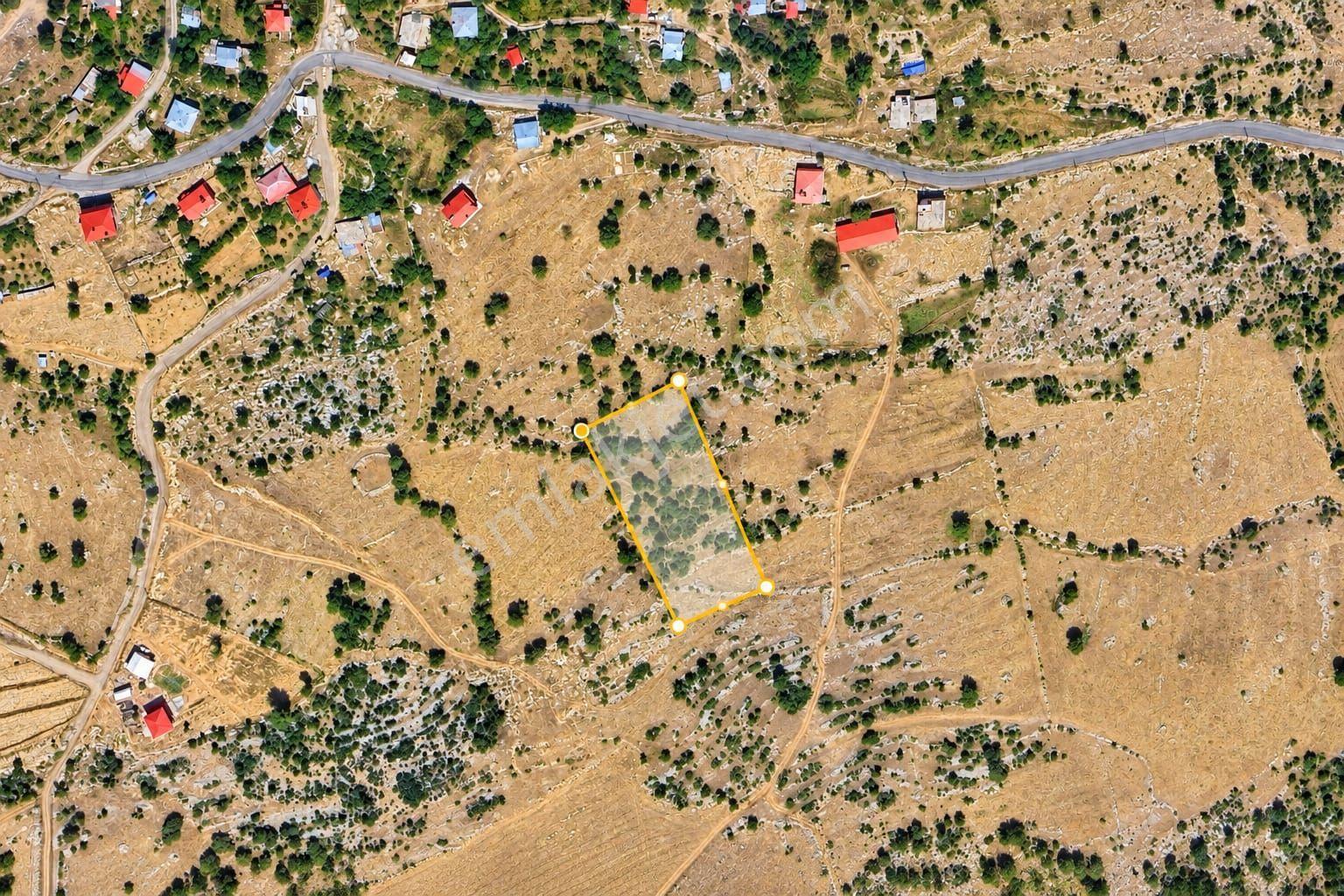 Aydın'dan Tarsus Keşli Köyun De Acil Satılık Tarla 2.621 M² — fotoğraf 4
