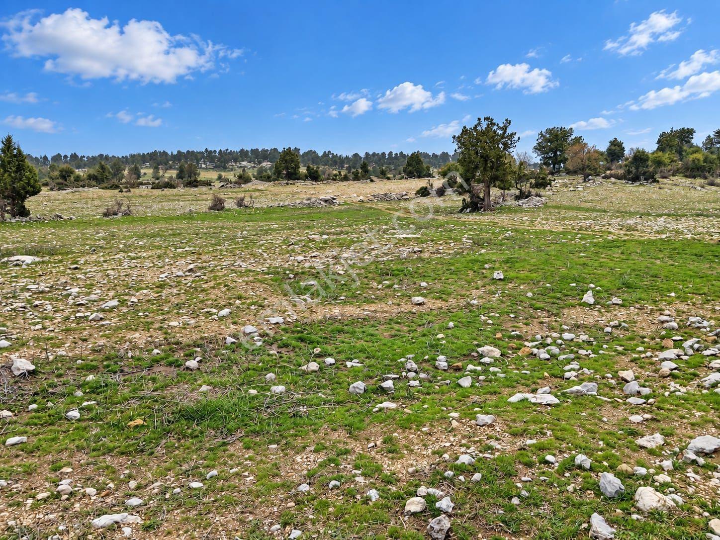 Aydın'dan Tarsus Keşli Köyun De Acil Satılık Tarla 2.621 M² — fotoğraf 5