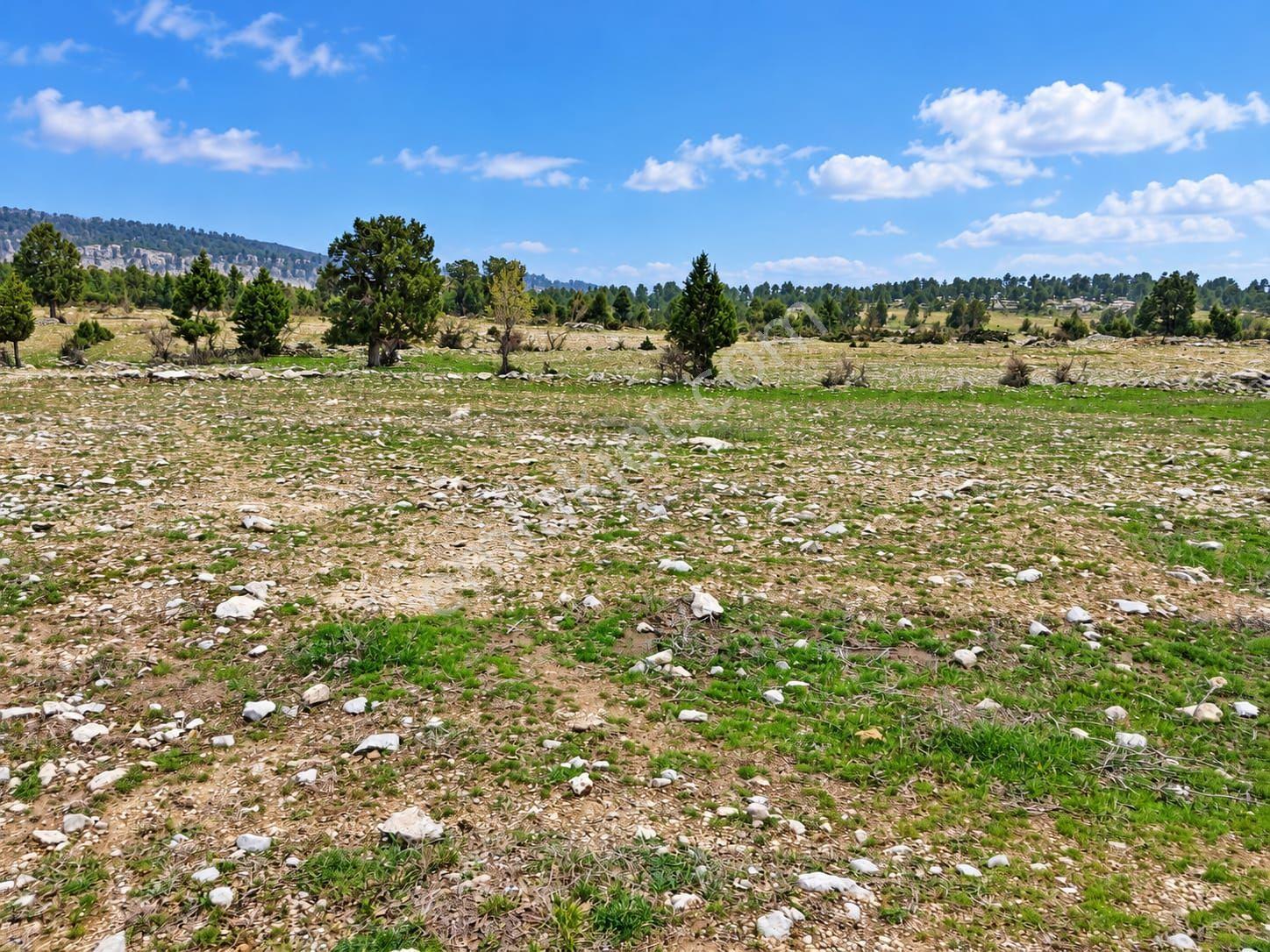 Aydın'dan Tarsus Keşli Köyun De Acil Satılık Tarla 2.621 M² — fotoğraf 6