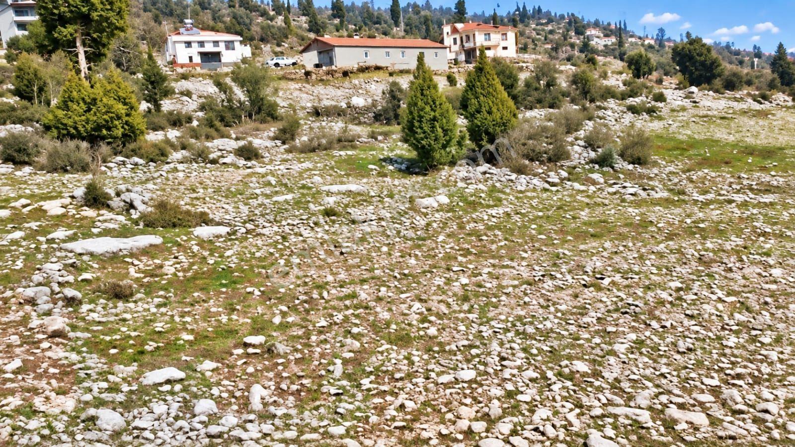 Aydın'dan Tarsus Keşli Köyun De Acil Satılık Tarla 2.621 M² — fotoğraf 7