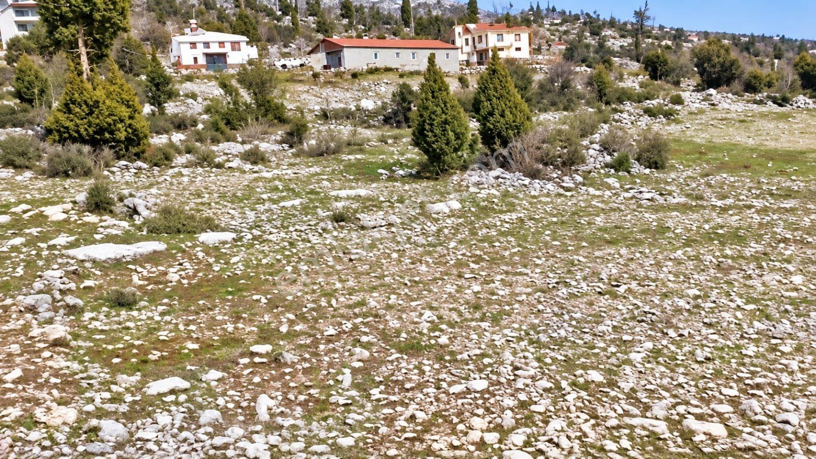 Aydın'dan Tarsus Keşli Köyun De Acil Satılık Tarla 2.621 M² — fotoğraf 13