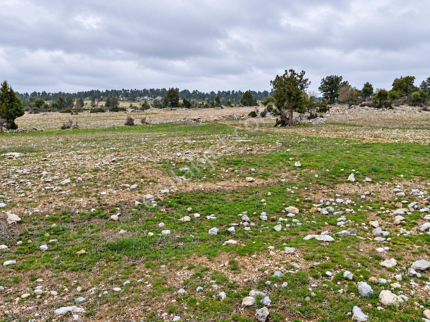 Aydın'dan Tarsus Keşli Köyun De Acil Satılık Tarla 2.621 M² — fotoğraf 14