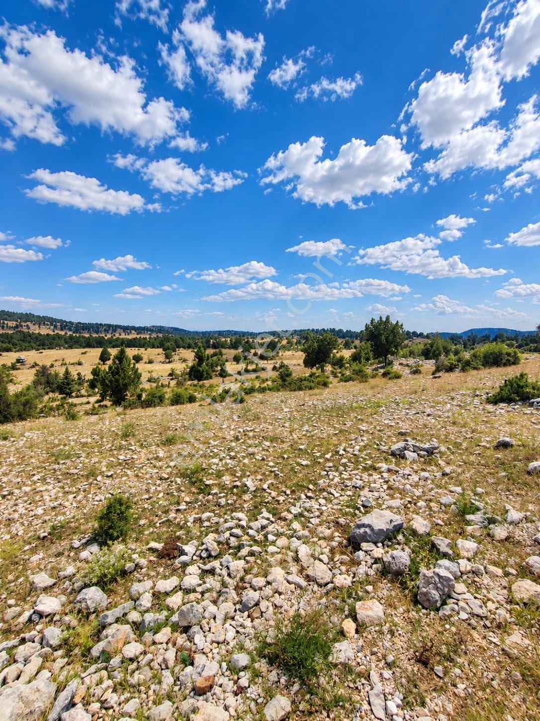 Aydın'dan Tarsus Keşli Köyun De Acil Satılık Tarla 2.621 M² — fotoğraf 15