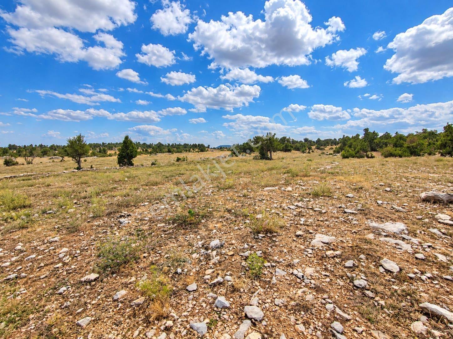 Aydın'dan Tarsus Keşli Köyun De Acil Satılık Tarla 2.621 M² — fotoğraf 16