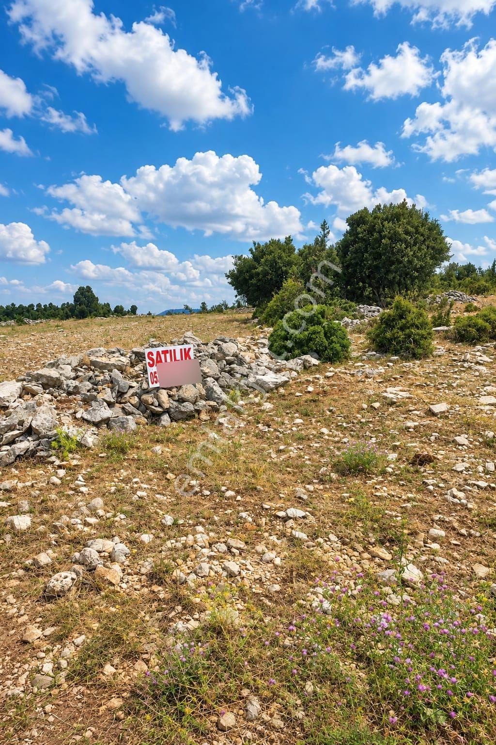 Aydın'dan Tarsus Keşli Köyun De Acil Satılık Tarla 2.621 M² — fotoğraf 18