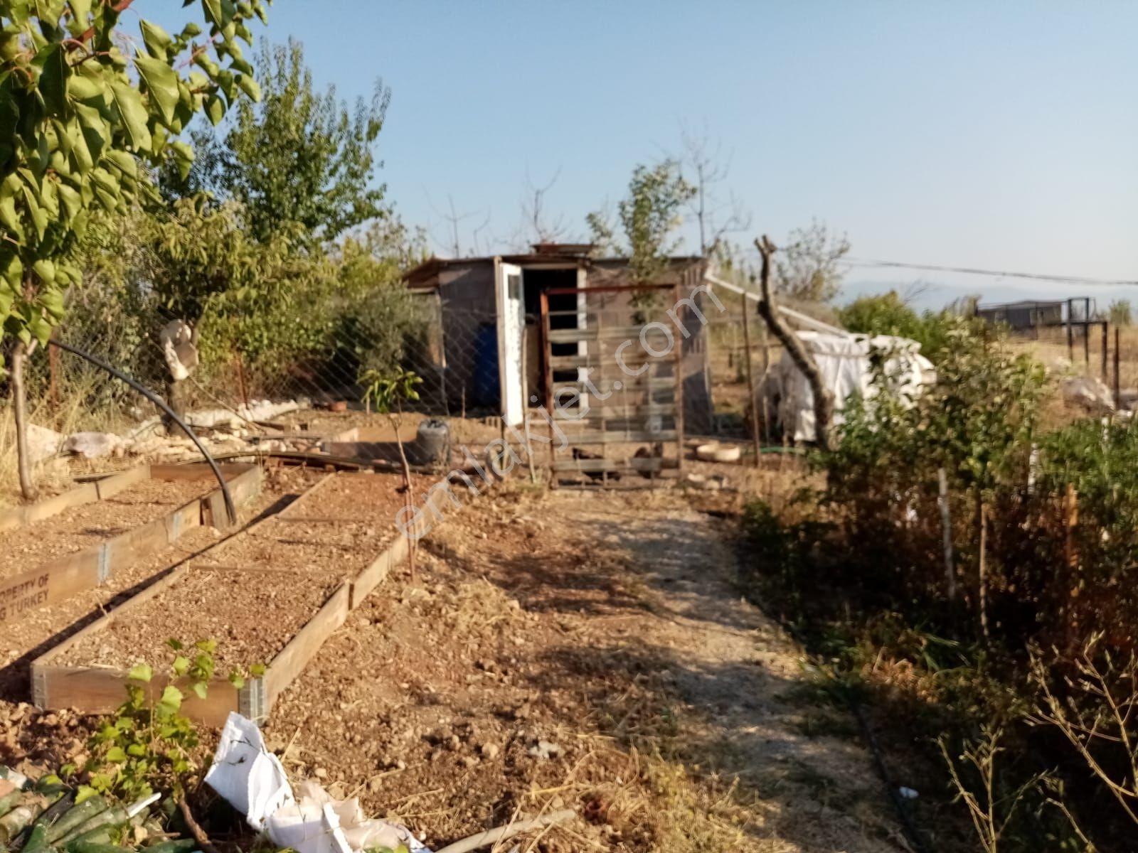 Damlacık(k.paşa)da Kendi Enerji Ve Suyu Olan 503 M2 Resmi Hisse — fotoğraf 5