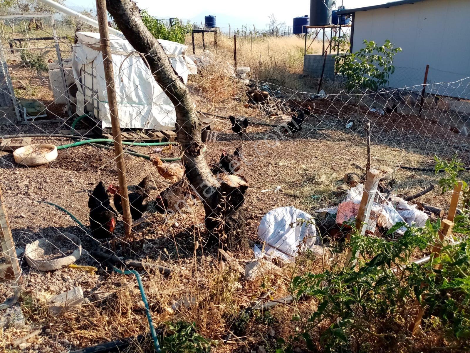 Damlacık(k.paşa)da Kendi Enerji Ve Suyu Olan 503 M2 Resmi Hisse — fotoğraf 6