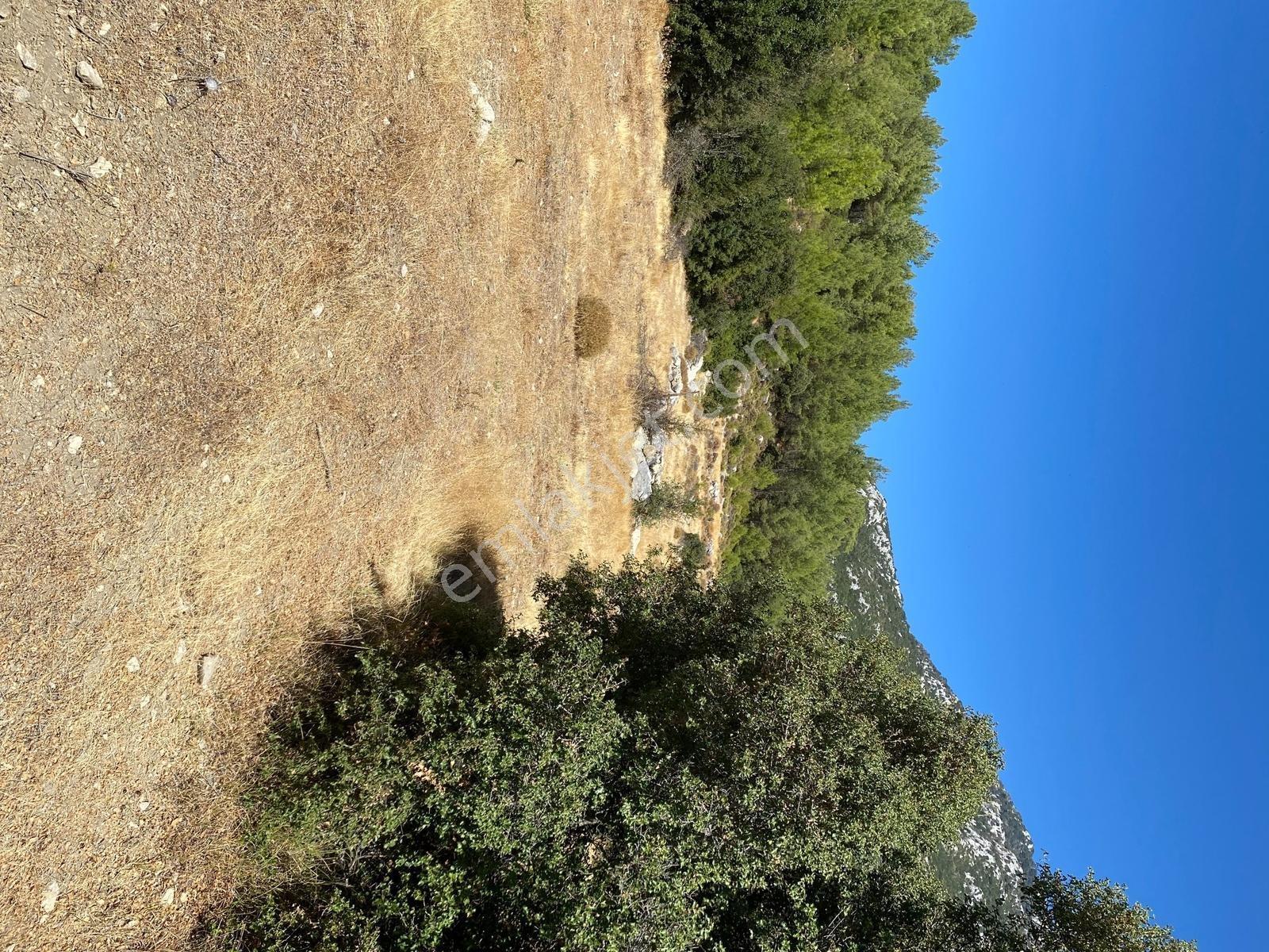 Muğla Seydikemer İlçesi Çatak Mahallesi Satılık Tarla 10.667 M2 — fotoğraf 6