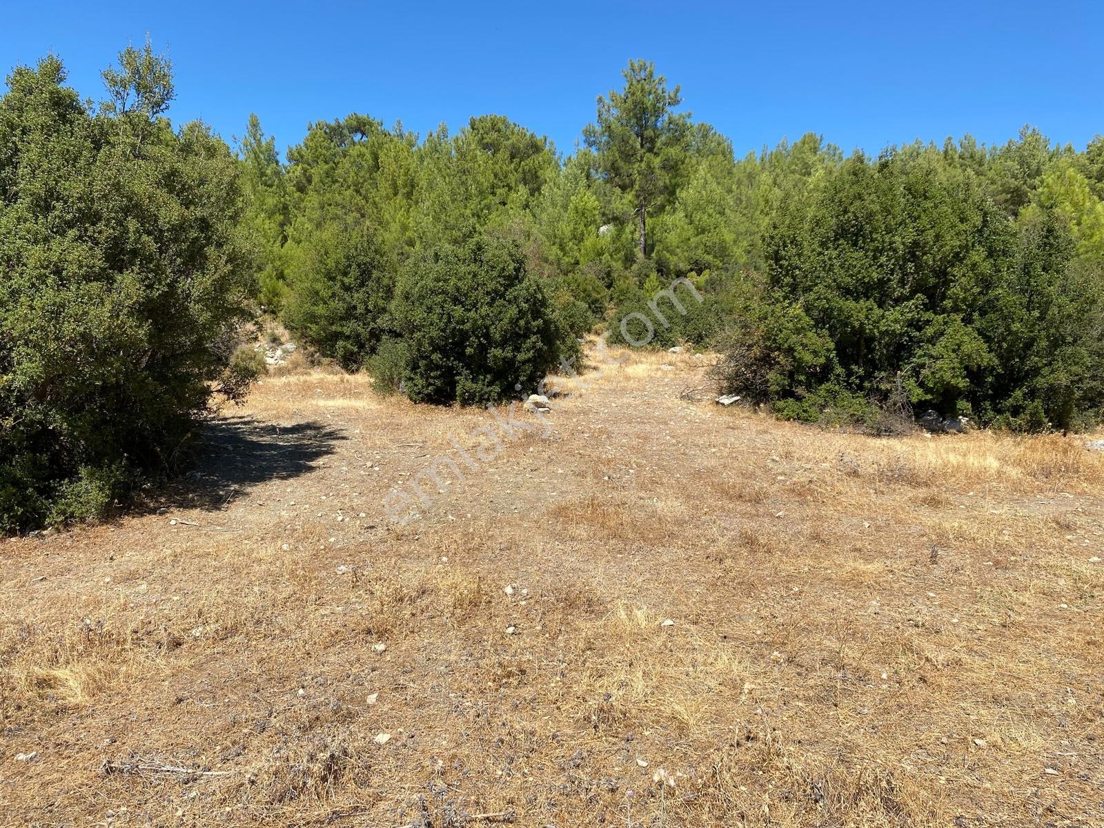Muğla Seydikemer İlçesi Çatak Mahallesi Satılık Tarla 10.667 M2 — fotoğraf 8