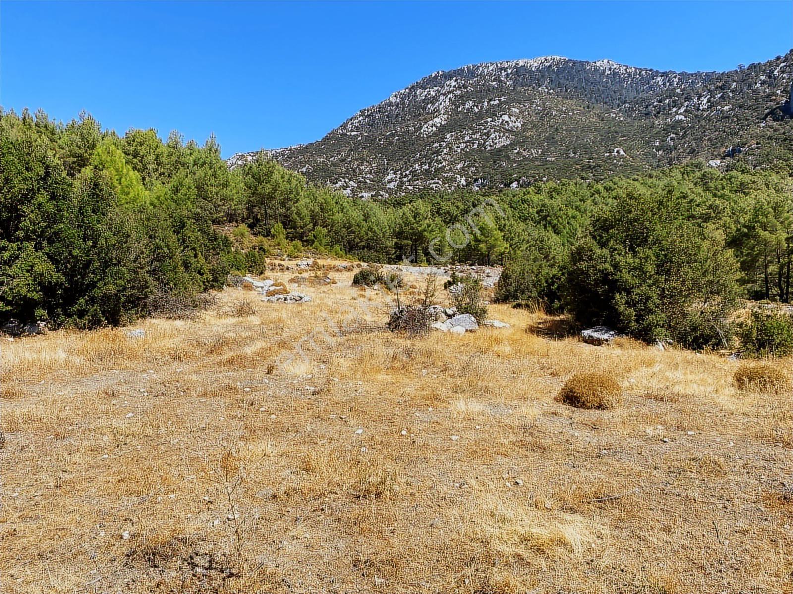 Muğla Seydikemer İlçesi Çatak Mahallesi Satılık Tarla 10.667 M2 — fotoğraf 9
