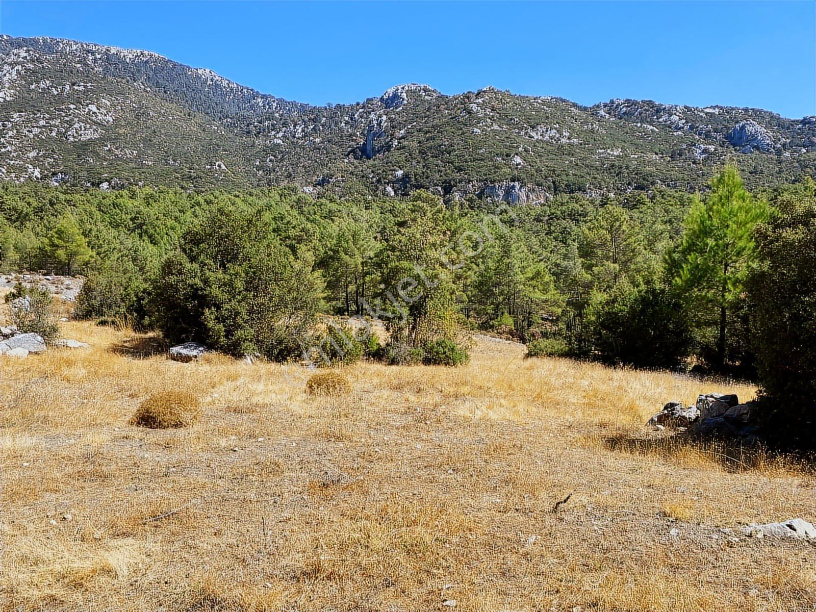 Muğla Seydikemer İlçesi Çatak Mahallesi Satılık Tarla 10.667 M2 — fotoğraf 10
