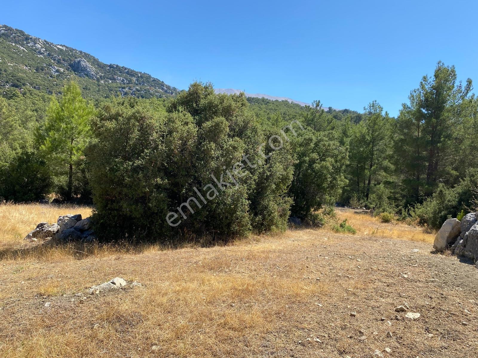 Muğla Seydikemer İlçesi Çatak Mahallesi Satılık Tarla 10.667 M2 — fotoğraf 11
