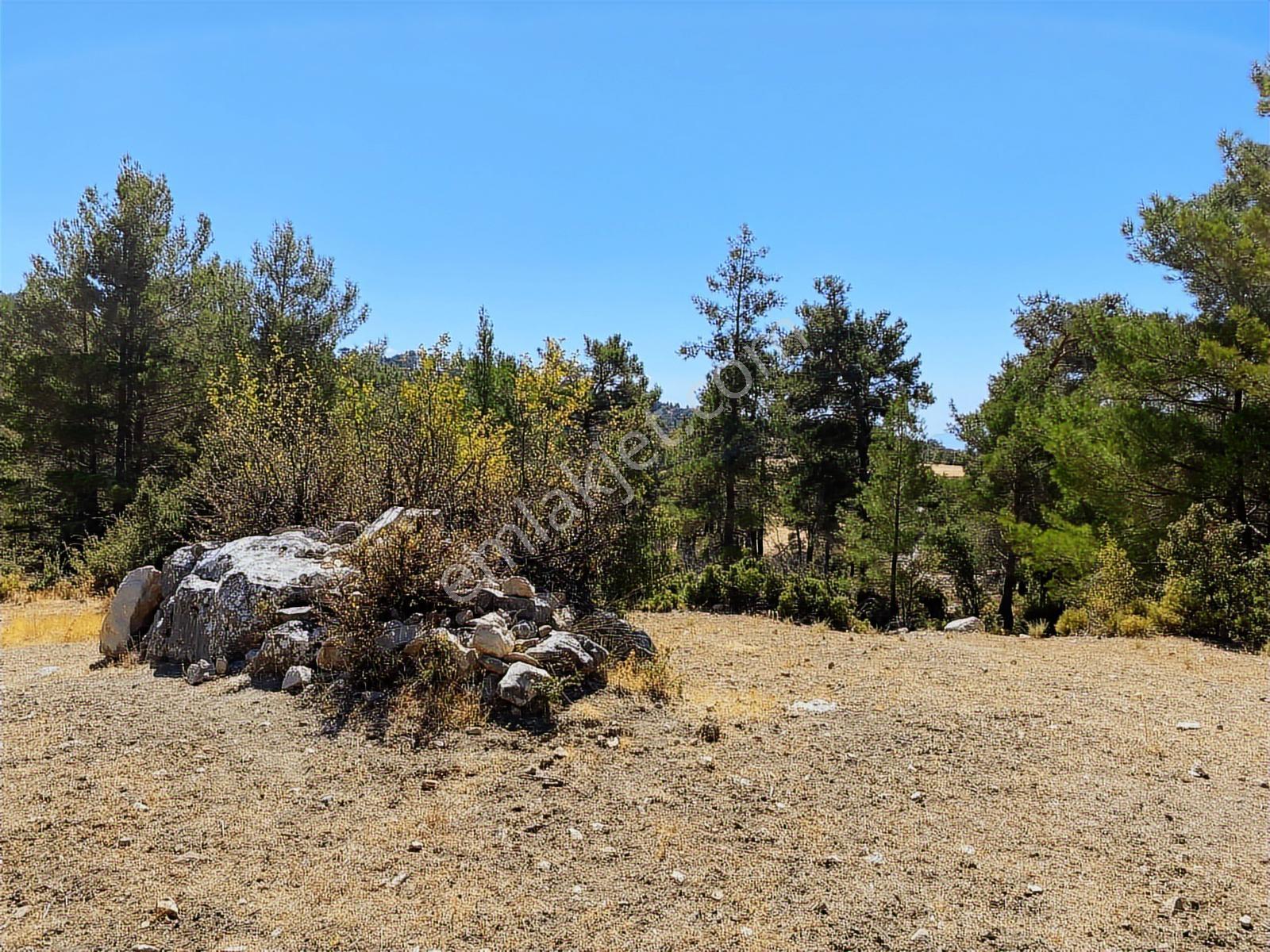 Muğla Seydikemer İlçesi Çatak Mahallesi Satılık Tarla 10.667 M2 — fotoğraf 12