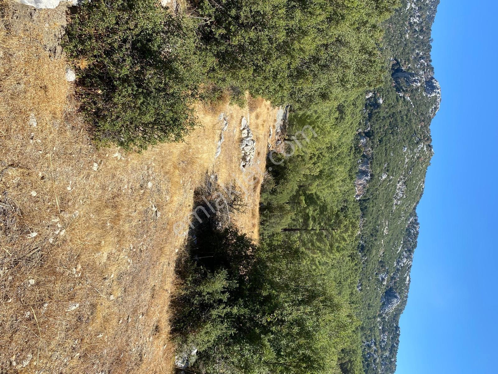 Muğla Seydikemer İlçesi Çatak Mahallesi Satılık Tarla 10.667 M2 — fotoğraf 13