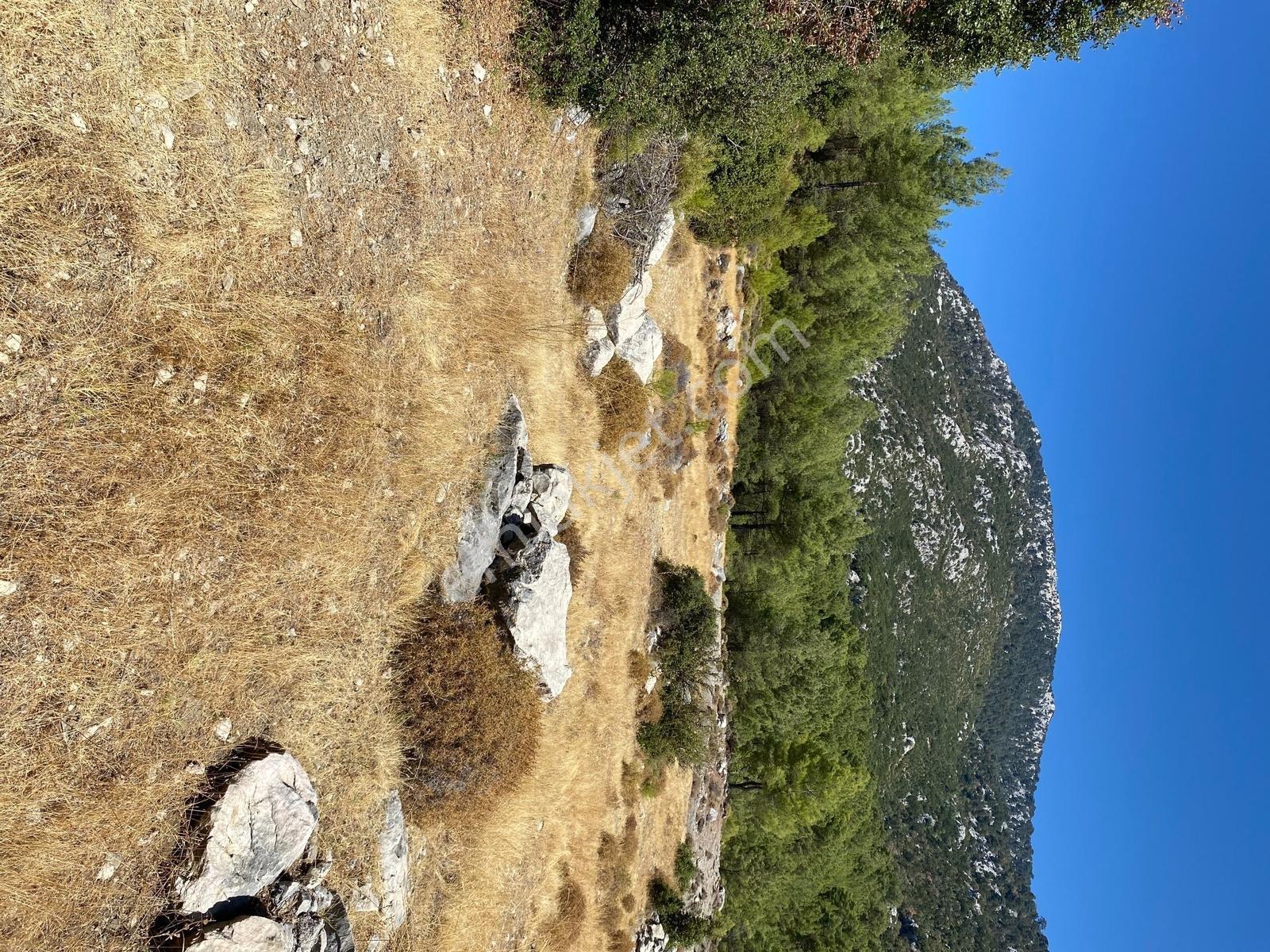 Muğla Seydikemer İlçesi Çatak Mahallesi Satılık Tarla 10.667 M2 — fotoğraf 14