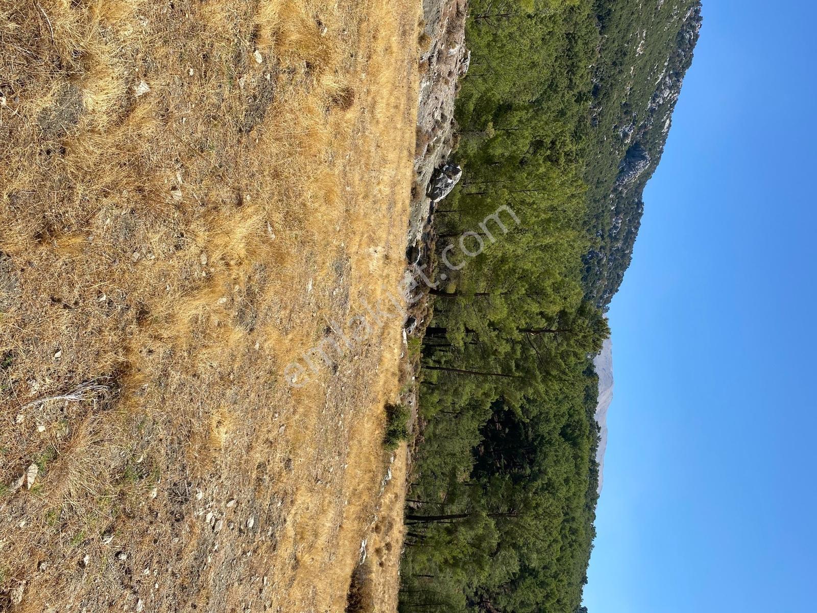 Muğla Seydikemer İlçesi Çatak Mahallesi Satılık Tarla 10.667 M2 — fotoğraf 15