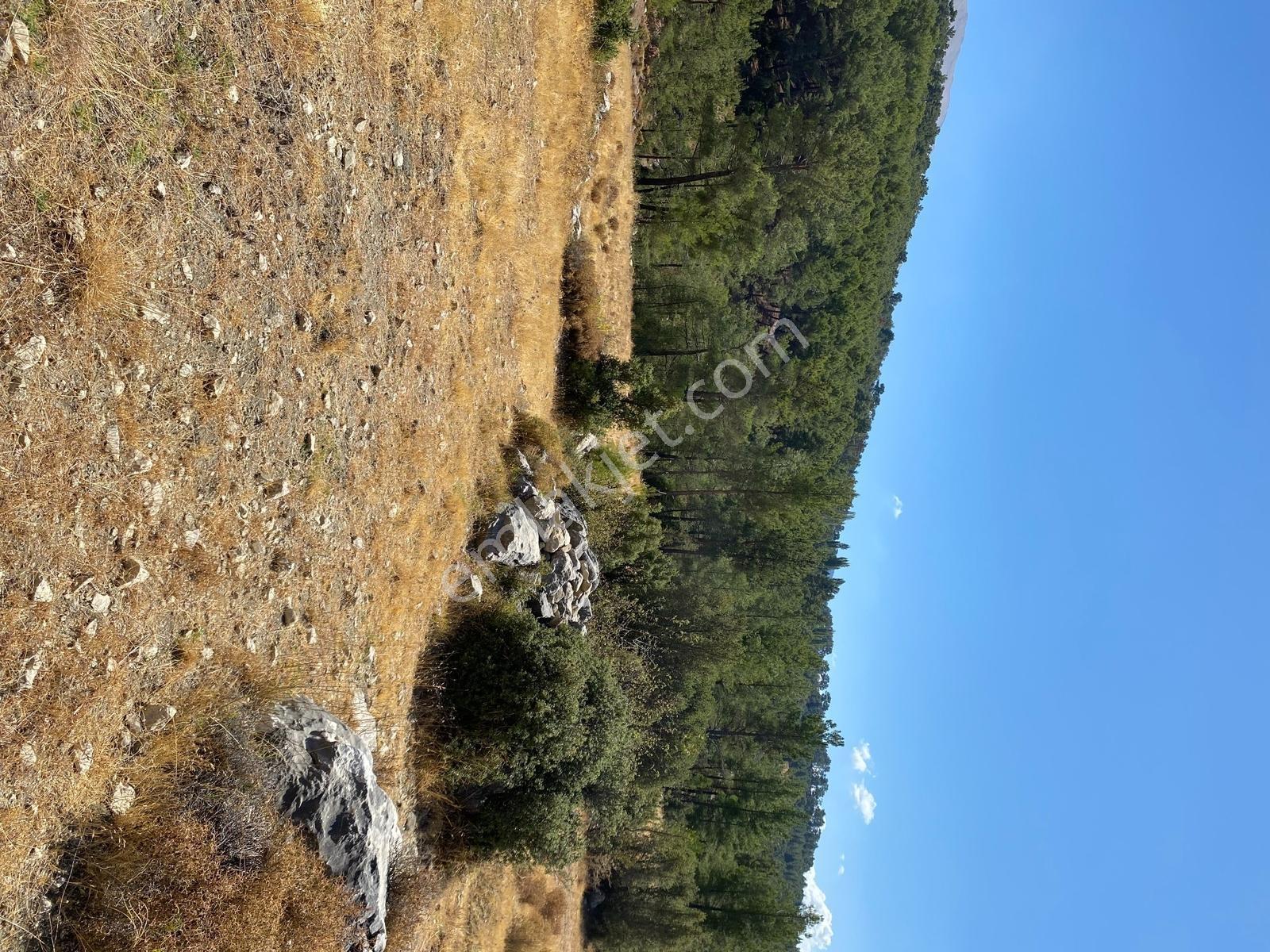 Muğla Seydikemer İlçesi Çatak Mahallesi Satılık Tarla 10.667 M2 — fotoğraf 16