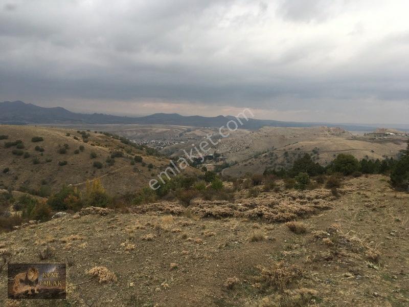 Kent Emlaktan Kutludüğünde Satılık 346 Metre Arsa — fotoğraf 8