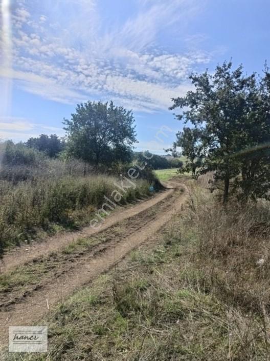 Hancı'dan Dereçavuşta Ulaşımı Olan Yatırımlık 154m Hisse — fotoğraf 4