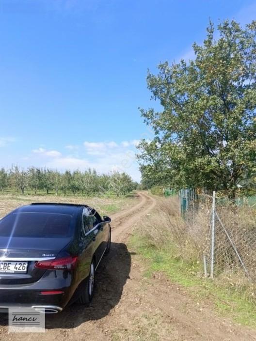 Hancı'dan Dereçavuşta Ulaşımı Olan Yatırımlık 154m Hisse — fotoğraf 6