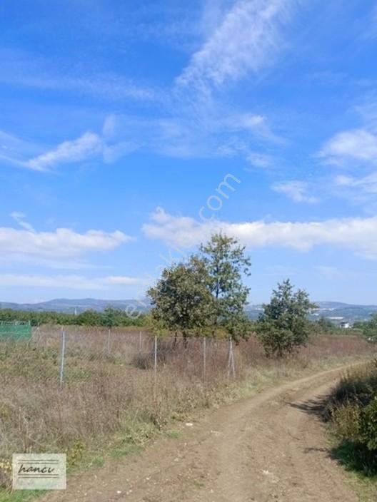 Hancı'dan Dereçavuşta Ulaşımı Olan Yatırımlık 154m Hisse — fotoğraf 9