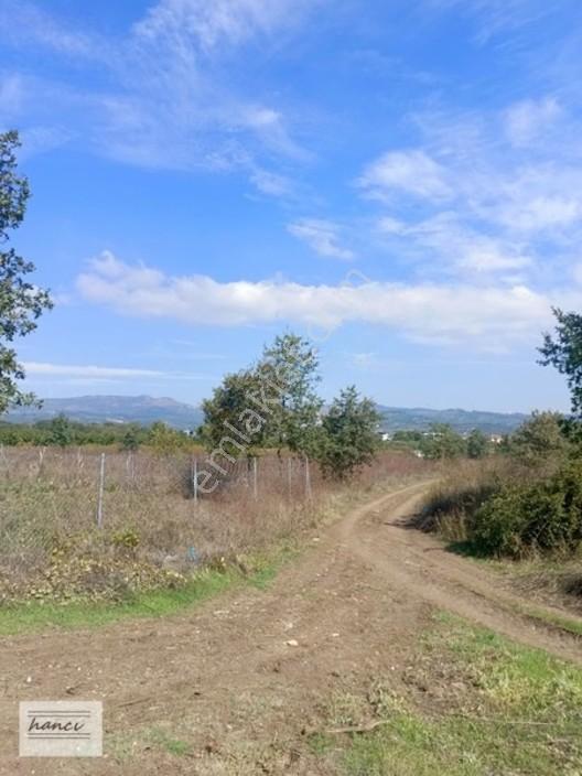 Hancı'dan Dereçavuşta Ulaşımı Olan Yatırımlık 154m Hisse — fotoğraf 12
