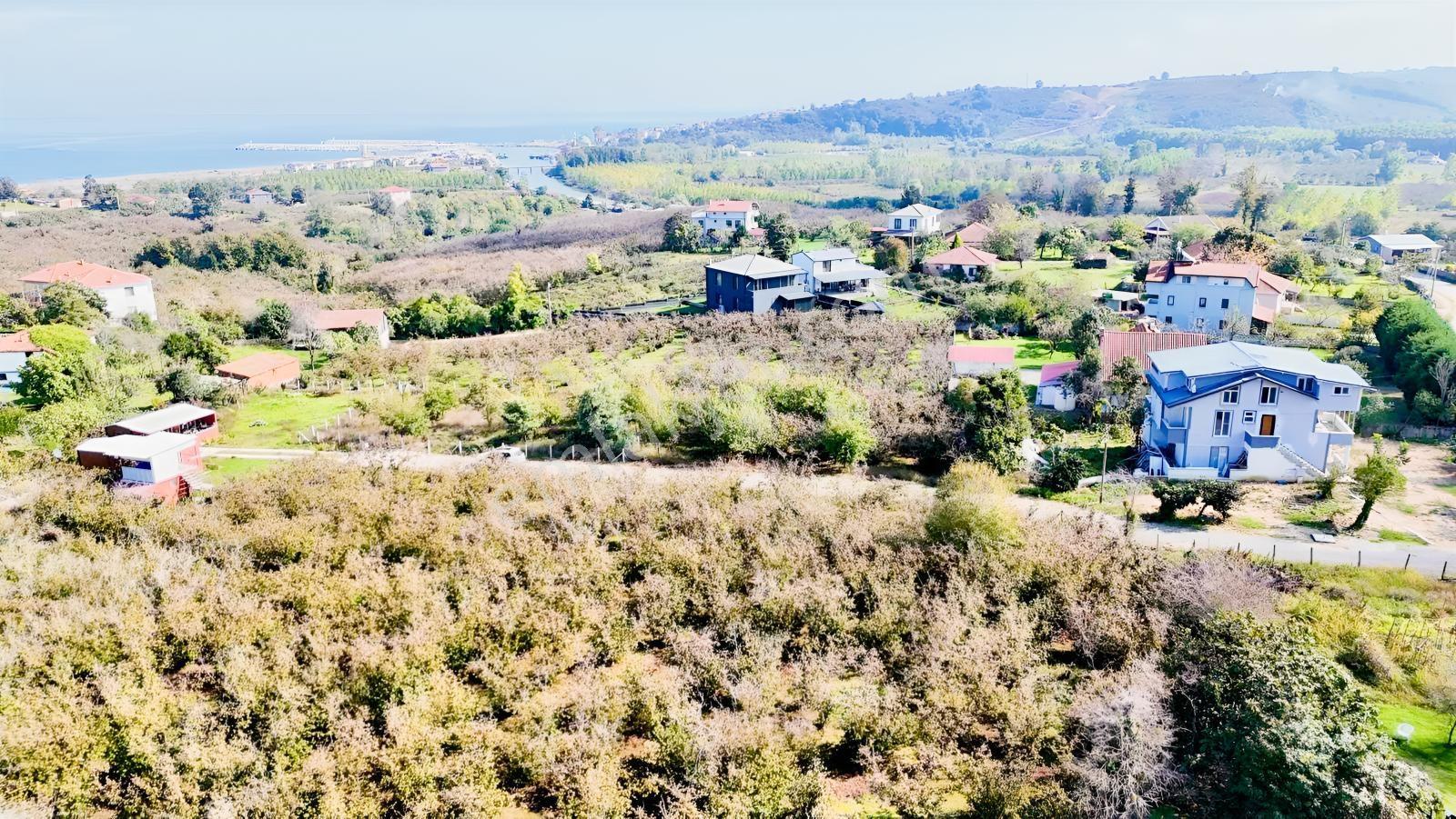 Balcıoğlundan Caferiye'de Deniz Ve Göl Manzaralı İmarlı Arsalar — fotoğraf 5