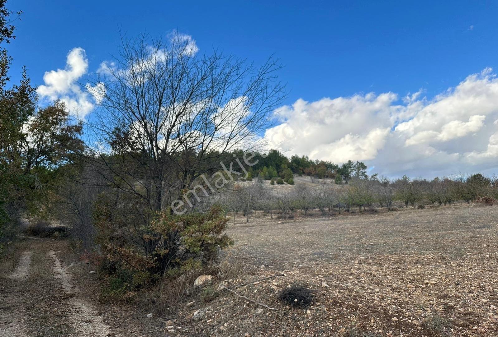 Re/max Leon Keles Uzunöz Köyü'nde 4,349,35 M2 Tarla — fotoğraf 3