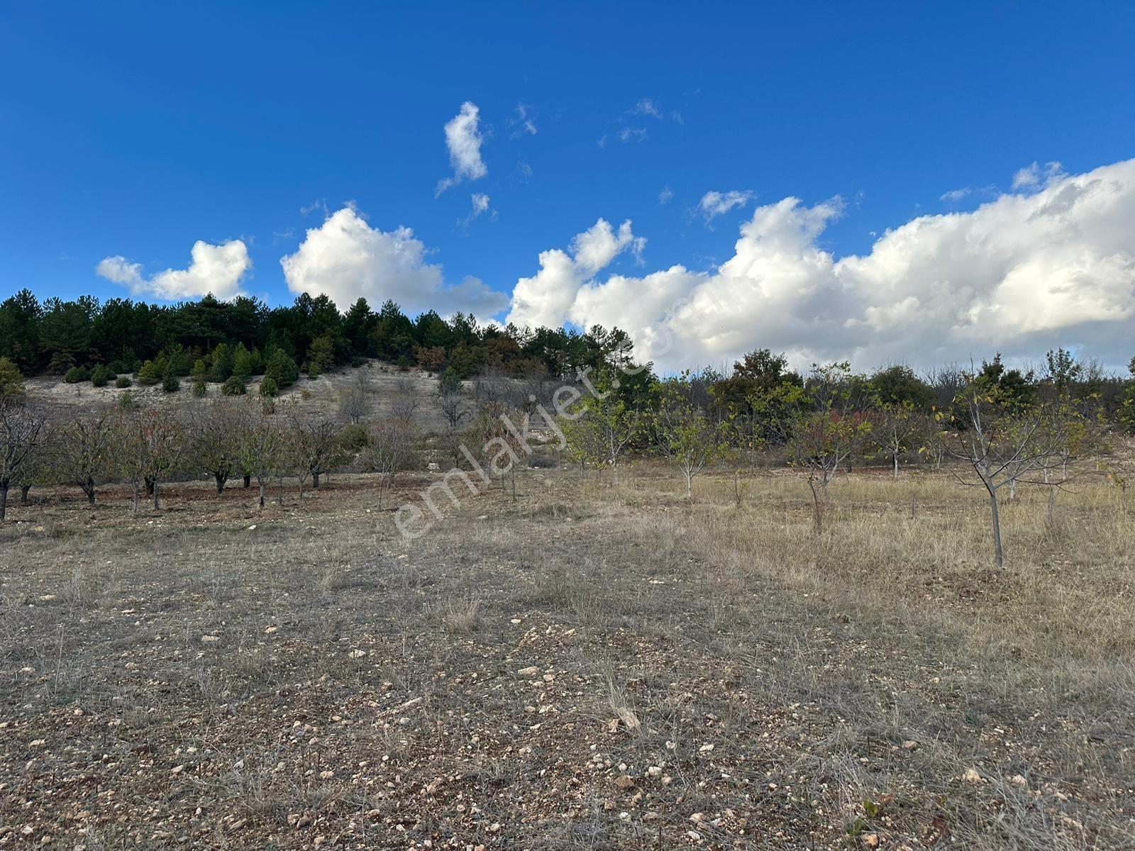 Re/max Leon Keles Uzunöz Köyü'nde 4,349,35 M2 Tarla — fotoğraf 4