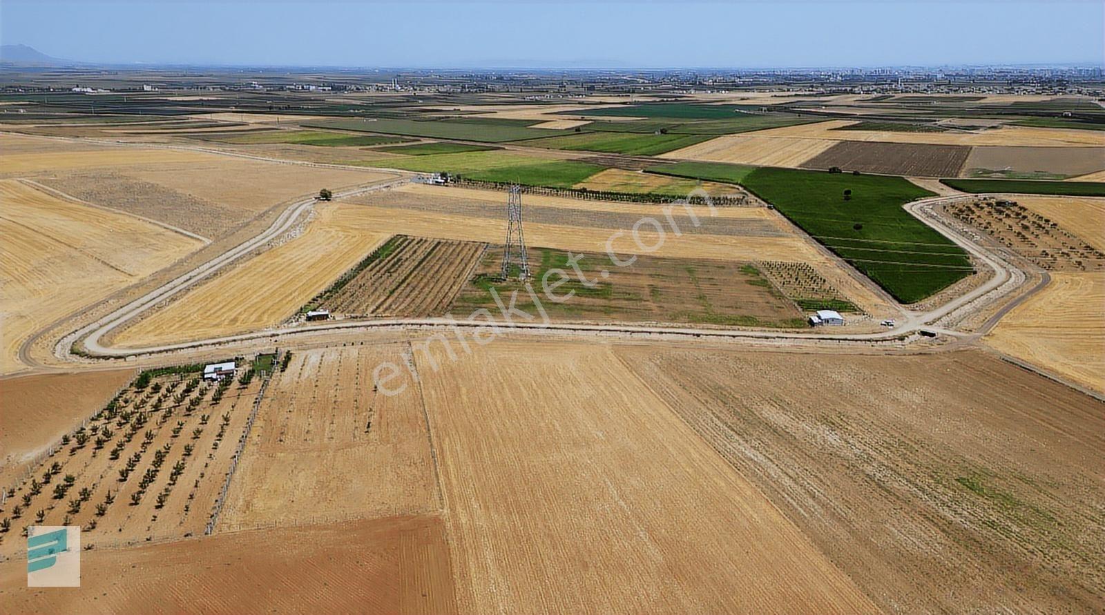Esentepe'ye Yakın Konumda, 140mt Kanal Ve Yol Cep. Satılık Tarla — fotoğraf 8