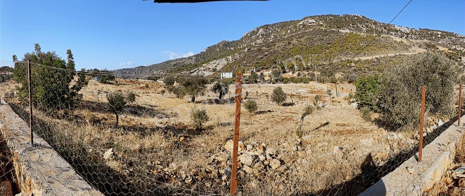 2b Vasfında Son Parseller — fotoğraf 2
