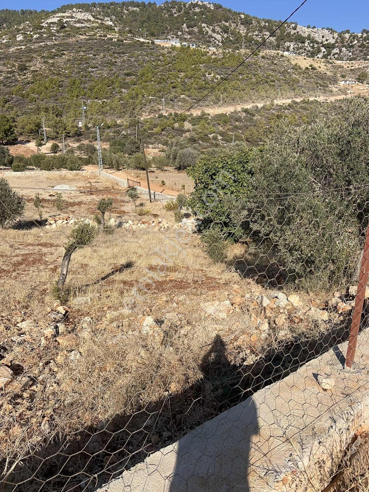 2b Vasfında Son Parseller — fotoğraf 3