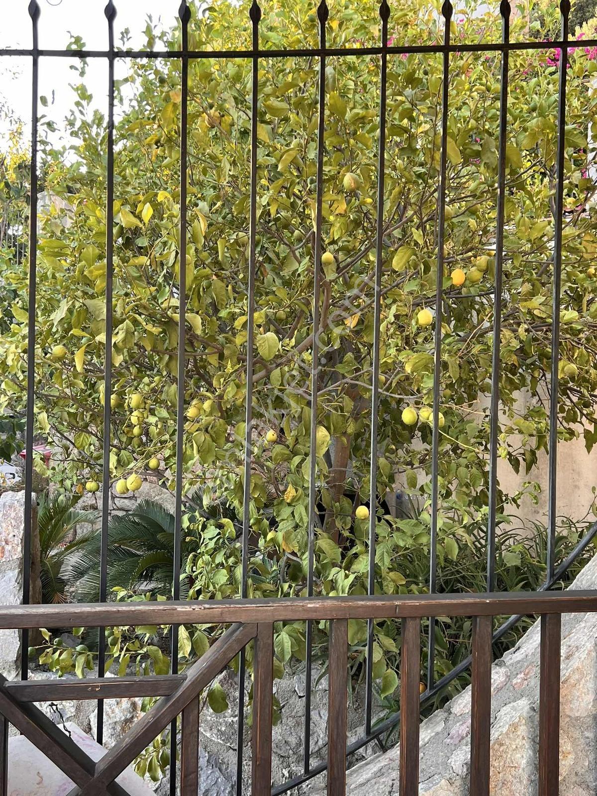 Bodrum Merkez 6+2 Her Katından Full Deniz Manzaralı Villa — fotoğraf 12