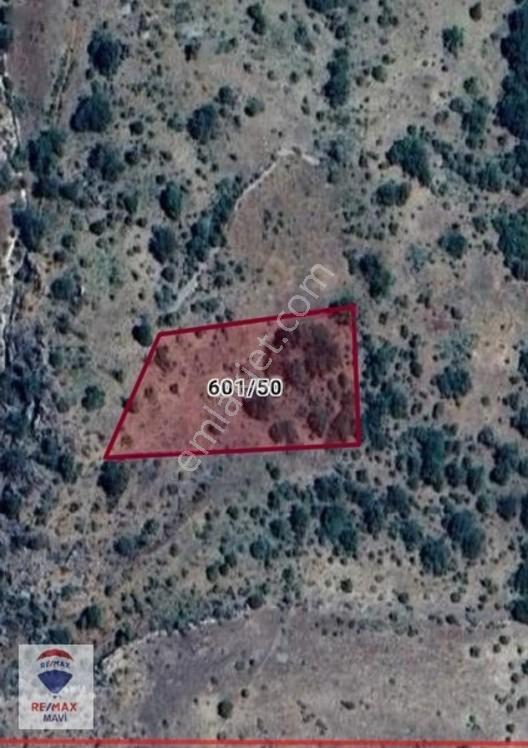Remax Mavi Konya Bozkır Cumhuriyet'Te 3005 M2 Satılık Tarla