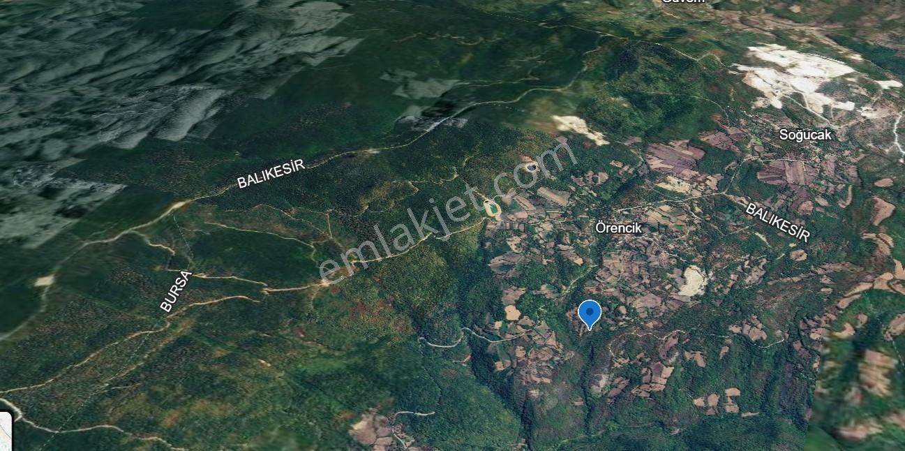 Mir'Den Kepsut Örencik'De Satılık 1955M2 Satılık Tarla
