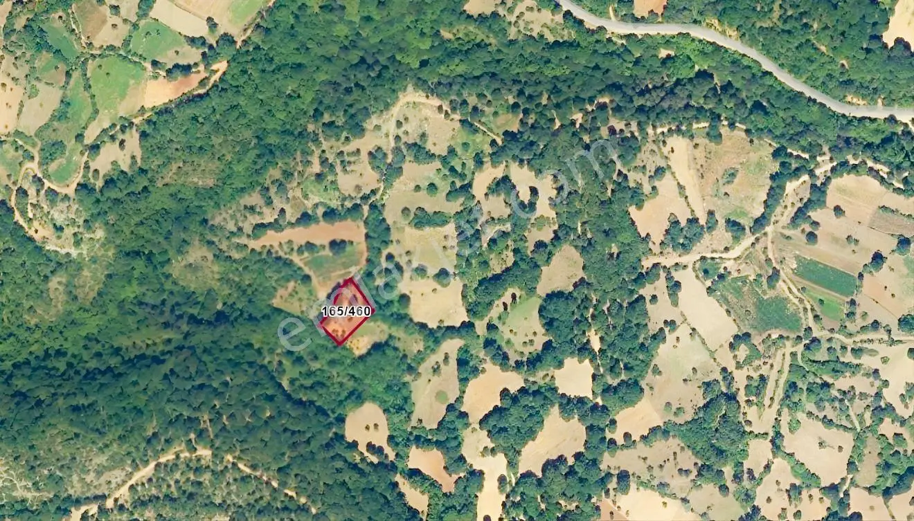 Mir'den Kepsut Örencik'de Satılık 1955m2 Satılık Tarla — fotoğraf 3