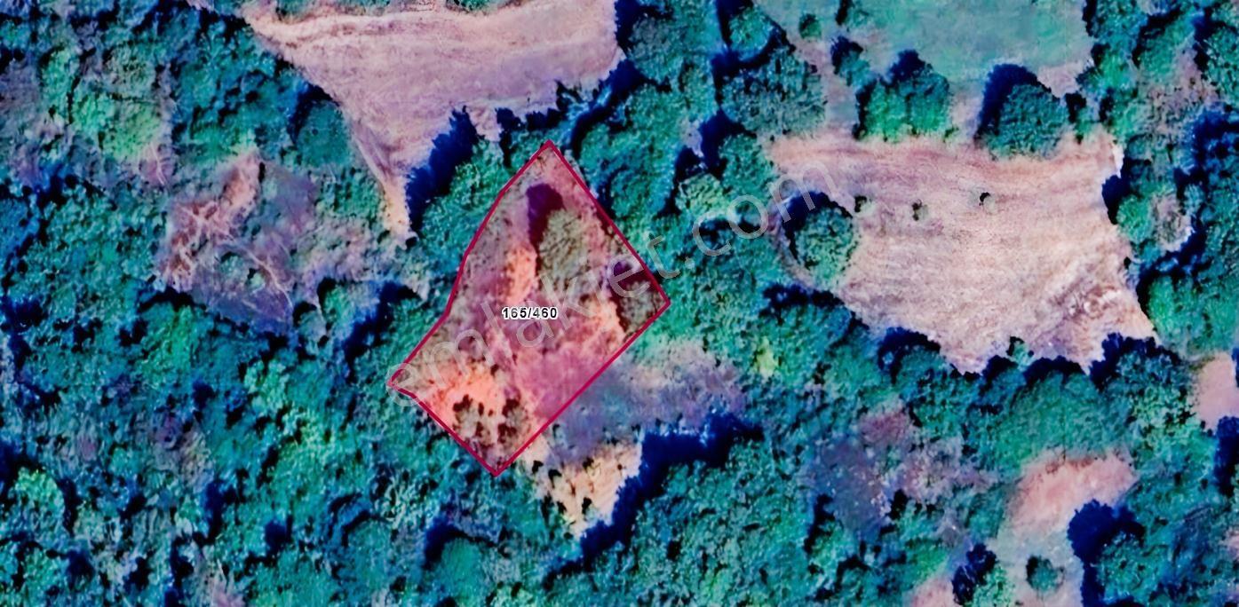 Mir'den Kepsut Örencik'de Satılık 1955m2 Satılık Tarla — fotoğraf 9