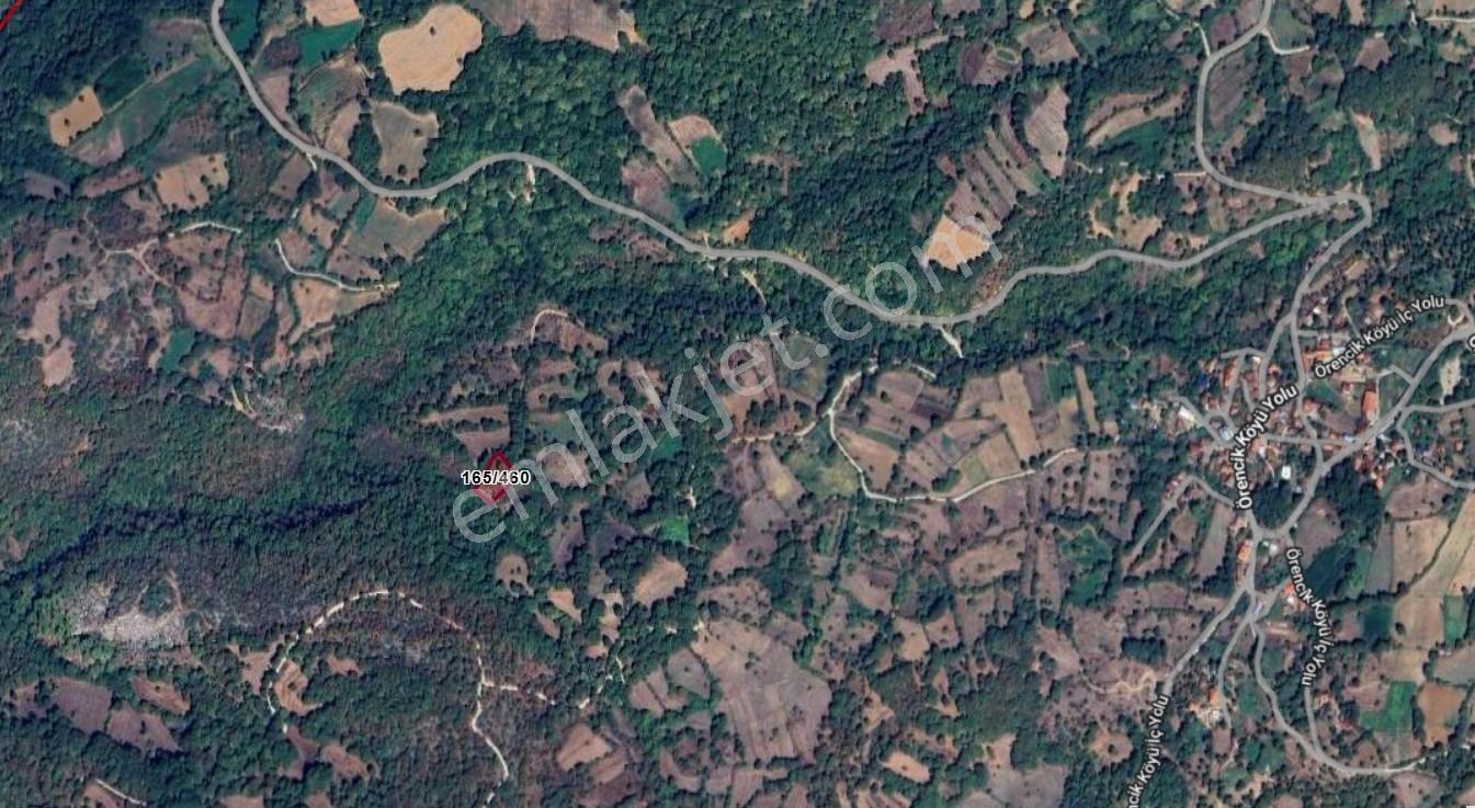 Mir'den Kepsut Örencik'de Satılık 1955m2 Satılık Tarla — fotoğraf 10