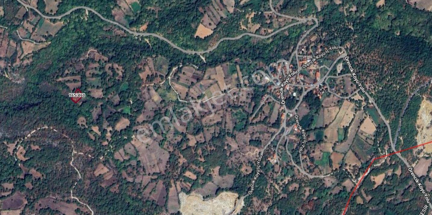Mir'den Kepsut Örencik'de Satılık 1955m2 Satılık Tarla — fotoğraf 11