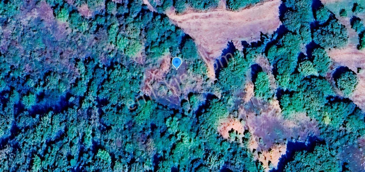 Mir'den Kepsut Örencik'de Satılık 1955m2 Satılık Tarla — fotoğraf 12
