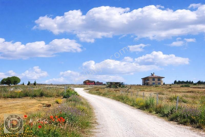 Silivri Balabanda Satılık İmarlı İfrazlı 260 Metre Kelepir Arsa — fotoğraf 8